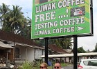 Nu een bezoek aan de Luwak koffie branderij
